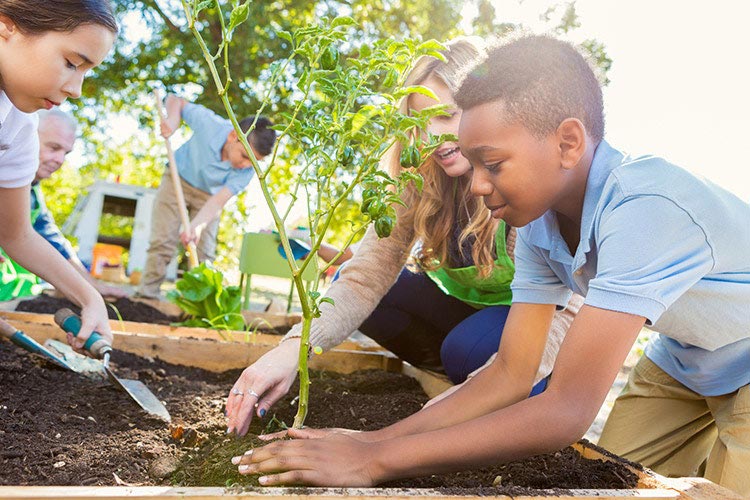 growing-things - Out of Hours Kids' Club